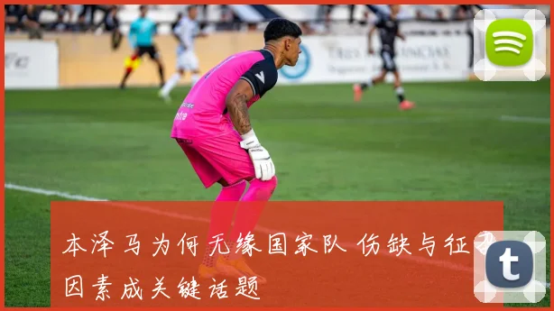 本泽马为何无缘国家队 伤缺与征召因素成关键话题