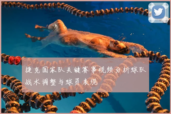 捷克国家队关键赛事视频分析球队战术调整与球员表现