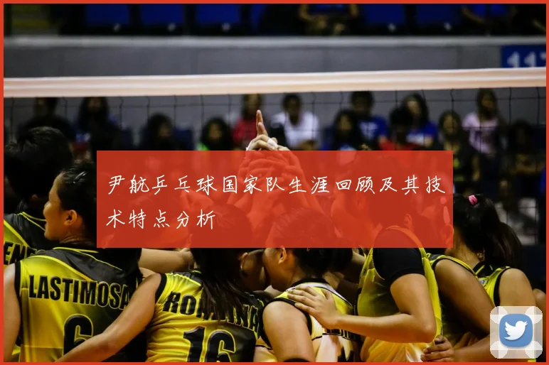 尹航乒乓球国家队生涯回顾及其技术特点分析